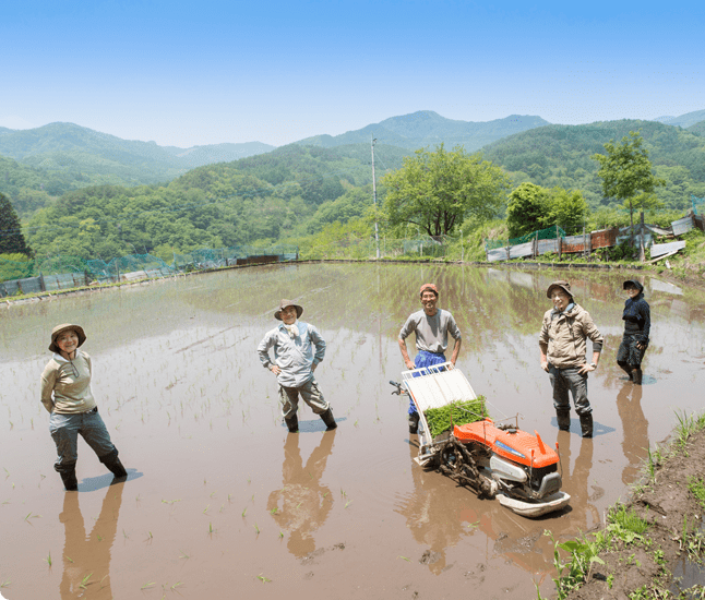 私たちについて