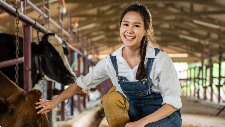 私たちについて