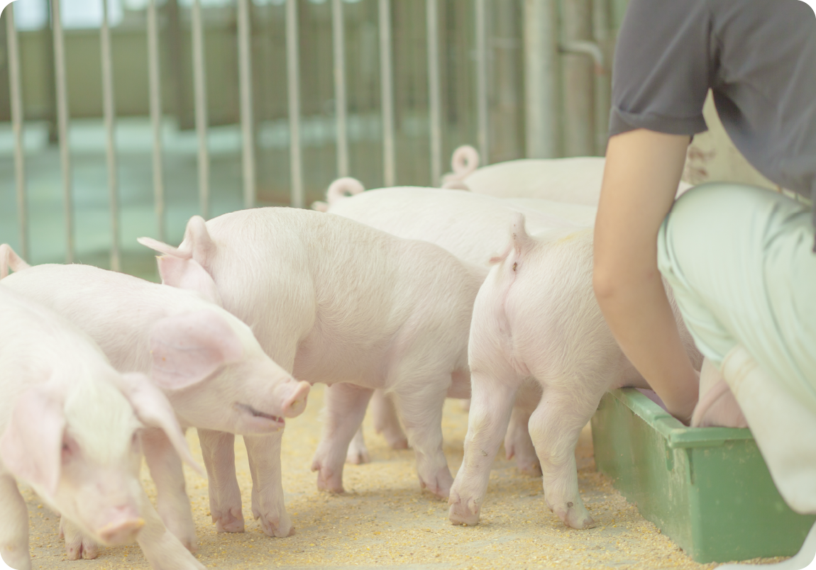 畜産サービス02