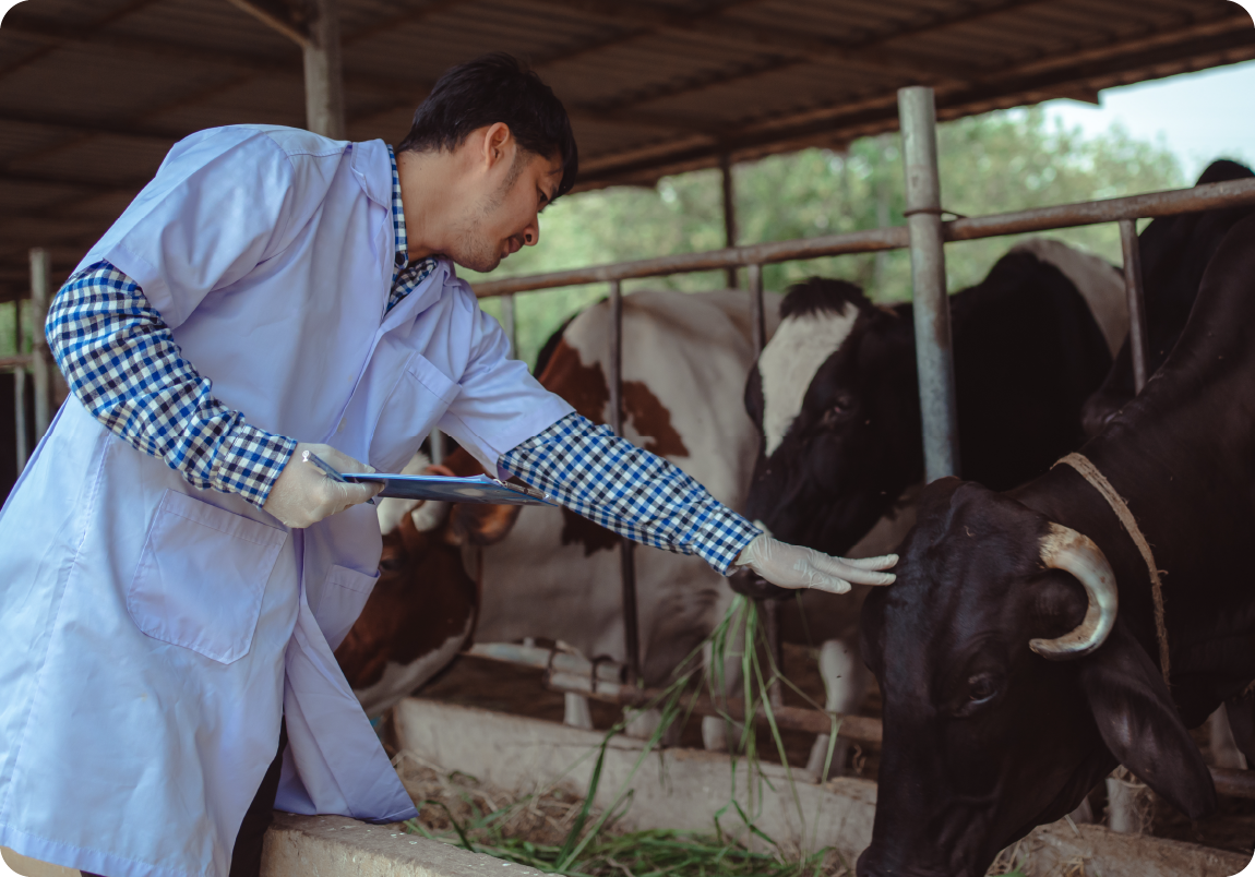 畜産サービス03