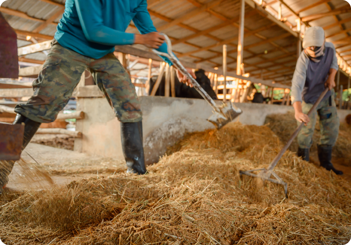 畜産サービス04