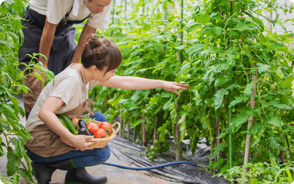 農繁期作業支援サービス